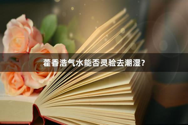 藿香浩气水能否灵验去潮湿？
